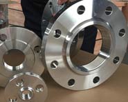 Hastelloy Alloy Forged Flange